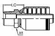 BSPT MALE